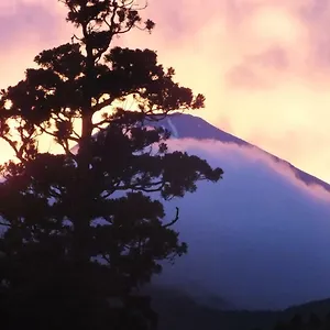 Ryokan (tradycyjny japoński pensjonat lub zajazd) Hananoyado Fukuya ****